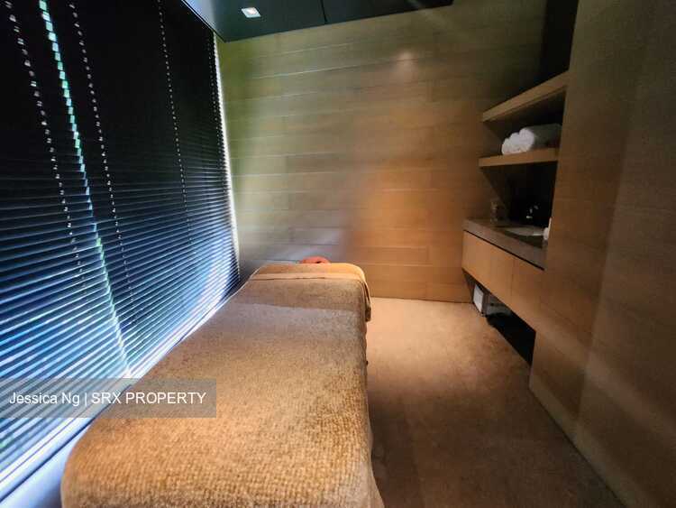 Ardmore Residence (D10), Condominium #439636921